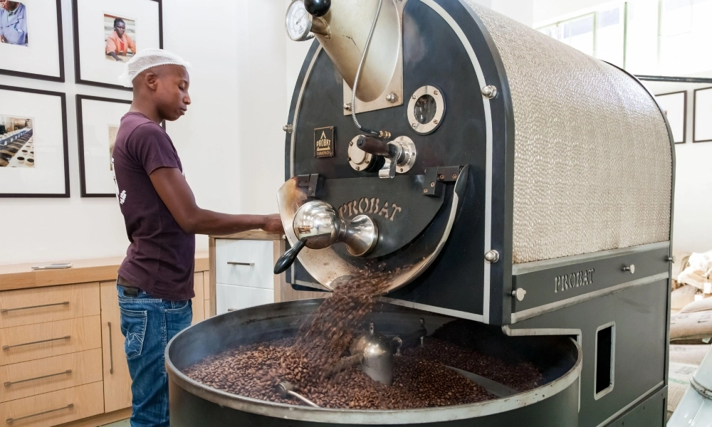 Coffee Processing